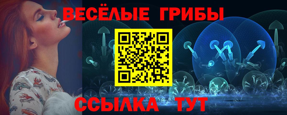 Галлюциногенные грибы ЛСД Курчалой