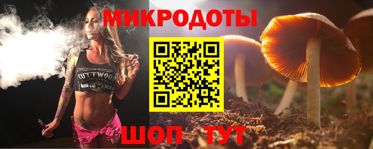 Галлюциногенные грибы Psilocybe  продажа наркотиков  Вход с VPN  Курчалой  Галлюциногенные грибы Magic Shrooms 